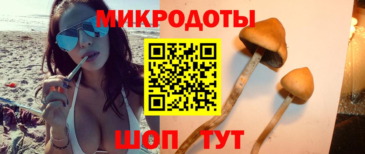 Псилоцибиновые грибы Magic Shrooms  Галлюциногенные грибы Cubensis  Вход с VPN  Бердск 